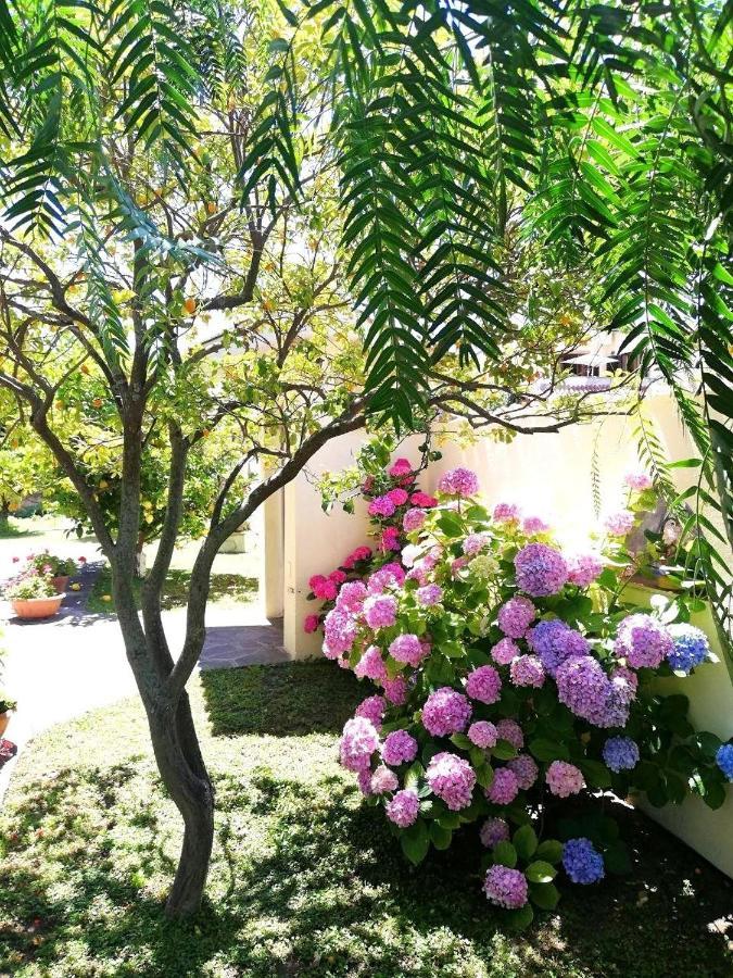 피우미치노 A Casa Di Iole 아파트 외부 사진