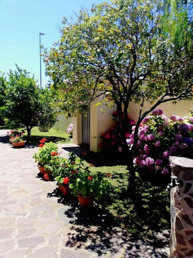 피우미치노 A Casa Di Iole 아파트 외부 사진